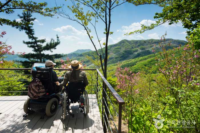 곤지암 화담숲 전망대