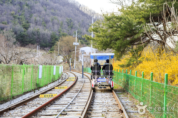 전국에 레일바이크 열풍을 몰고 온 문경철로자전거