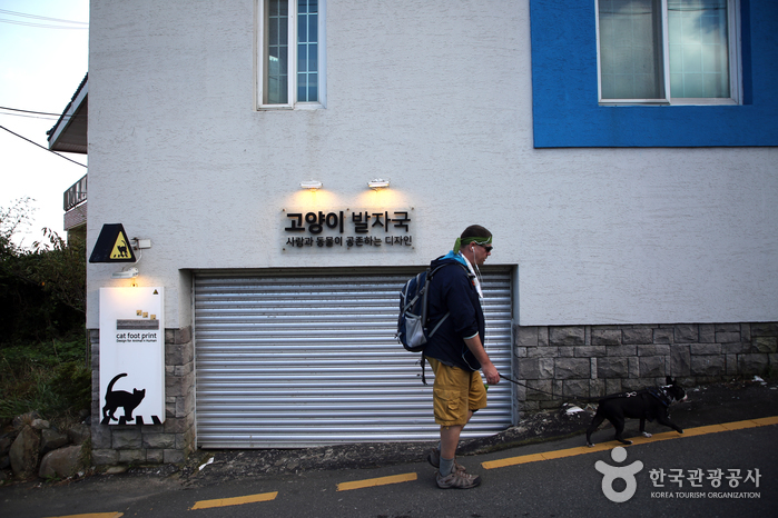 고양이 마을로 유명해진 청사포