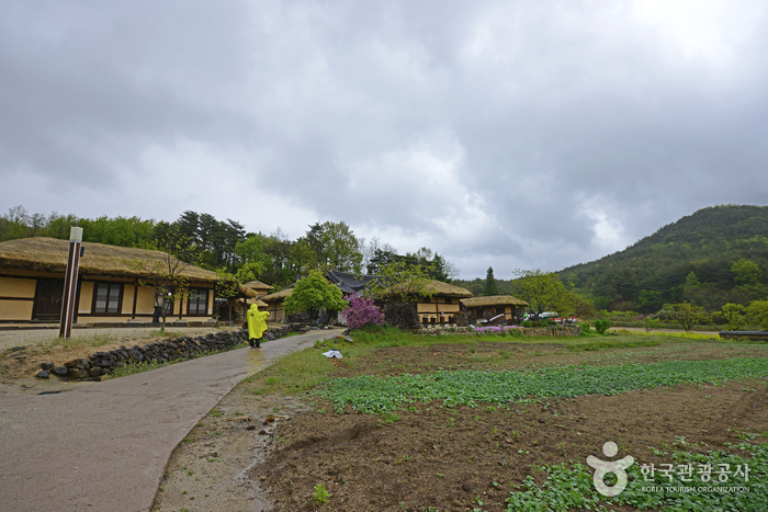 왕곡마을은 600년 역사를 자랑하는 전통마을이다.