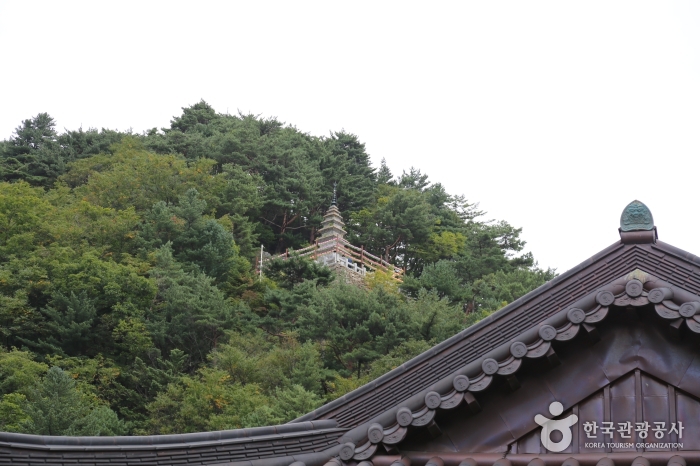 사찰에서 바라본 수마노탑