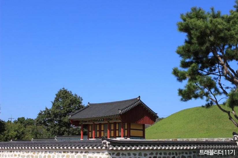 조명군총