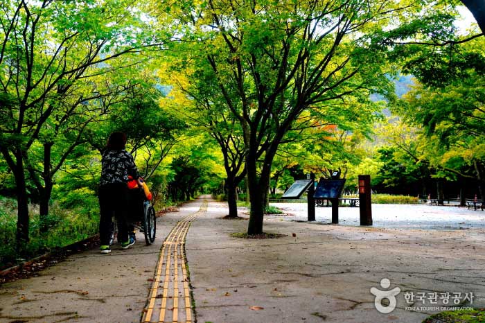 점자블록이 설치된 내장산국립공원 무장애 탐방로