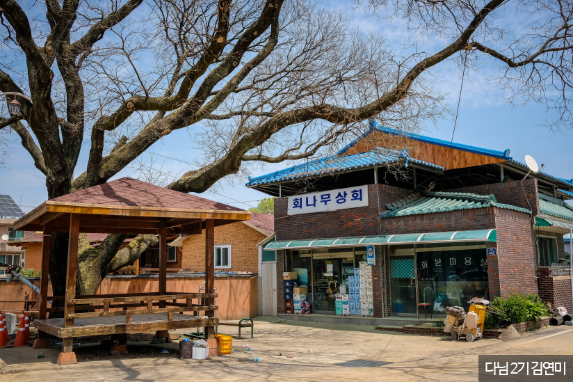 가생이닷컴>커뮤니티 > 친목 게시판 > 치즈*처럼 눌러살지도 몰라, 가만히 있어도 좋은 군위여행