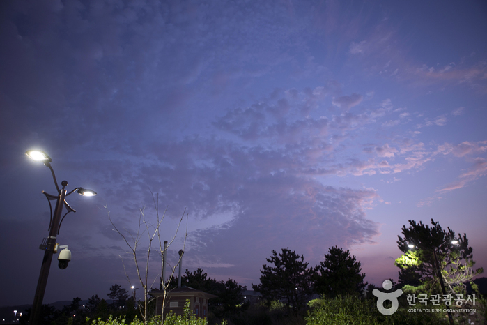 가을밤이 연분홍빛을 내며 저물고 있다.