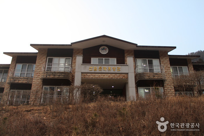 국립남해편백자연휴양림 이미지