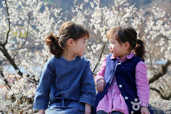 어린아이들이 매화만큼 예쁜 미소를 짓고 있다