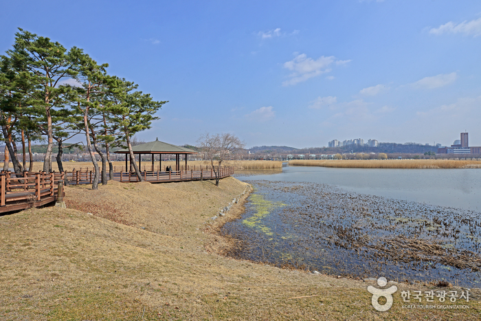 화랑저수지를 품은 화랑유원지