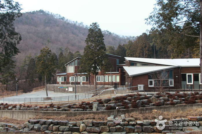 남해편백자연휴양림 이미지