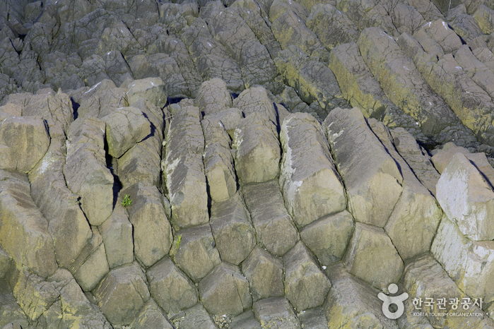 누워 있는 주상절리