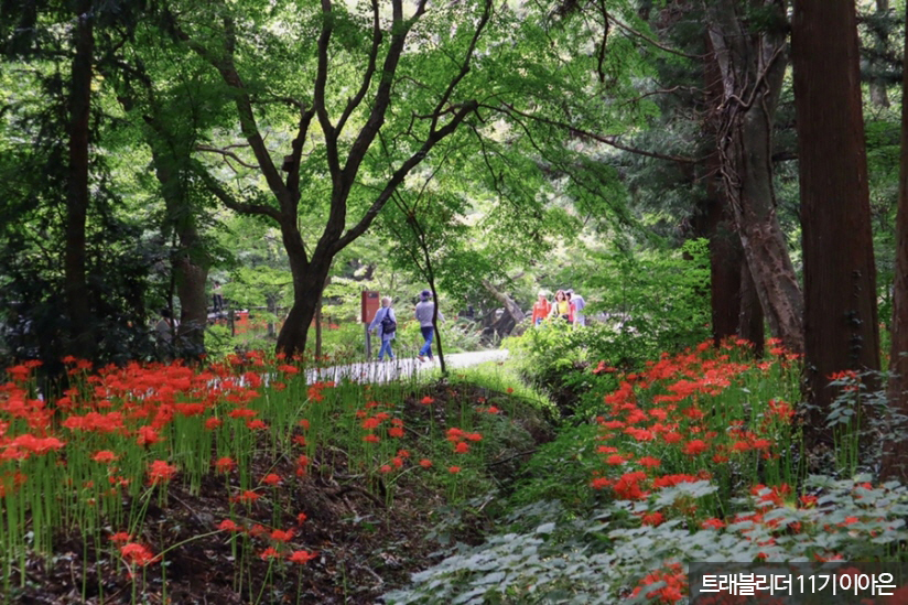 선운산 도립공원 & 선운사