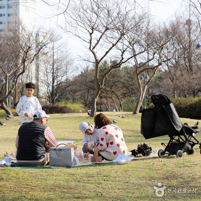 봄날의 피크닉 사진