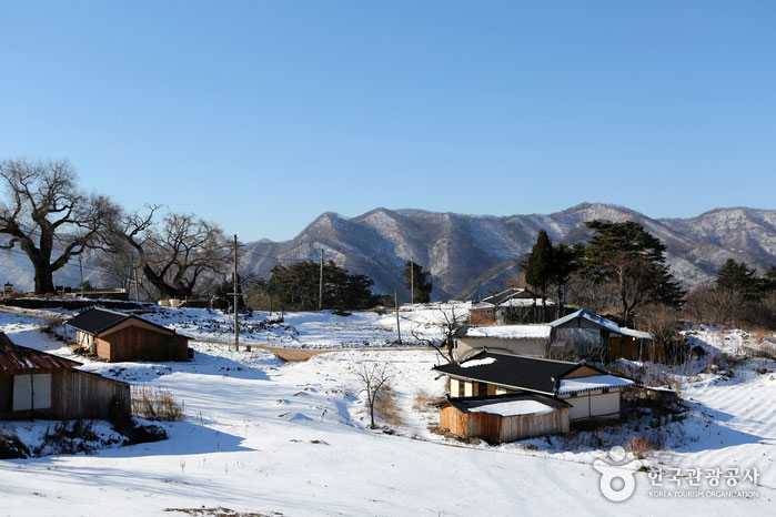 하얀 눈에 덮인 한치마을 풍경