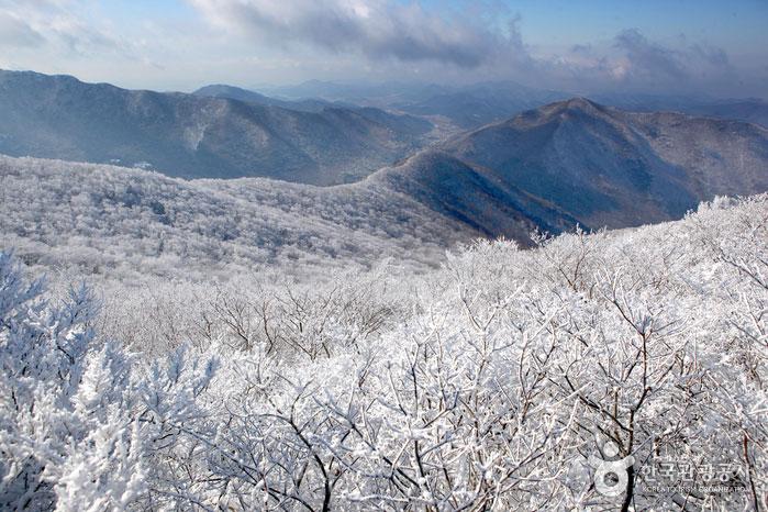 금수강산의 마지막이자 시작인 해남 두륜산의 설경