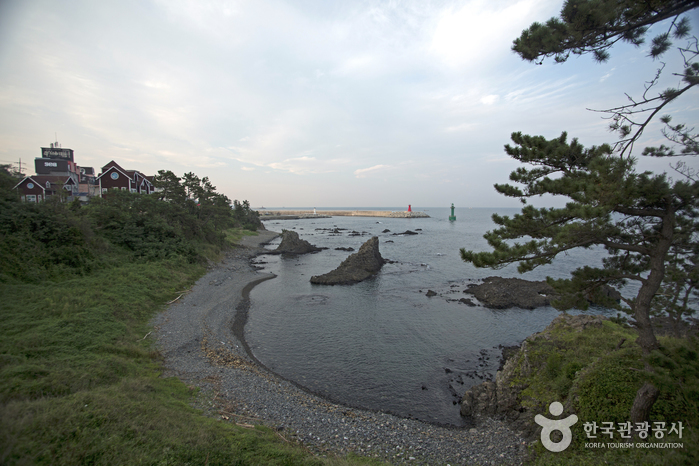 낮에 바라본 경주 주상절리 파도소리길