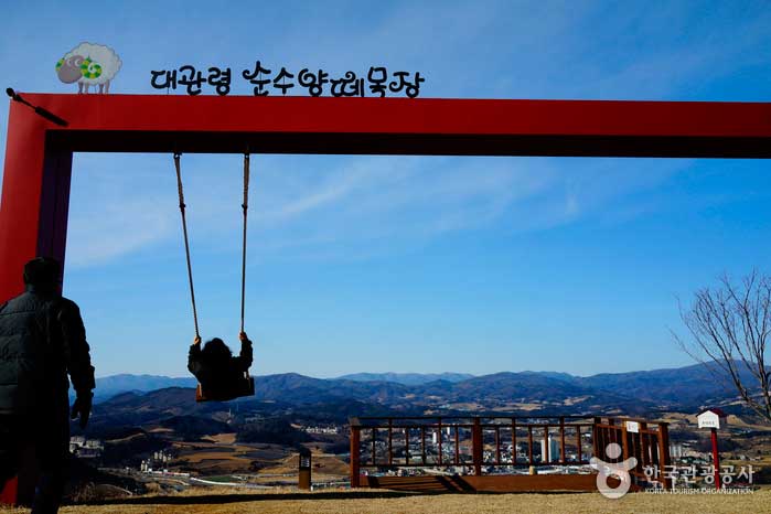 하늘을 나는 듯 그네를 탈 수 있는 하늘전망대