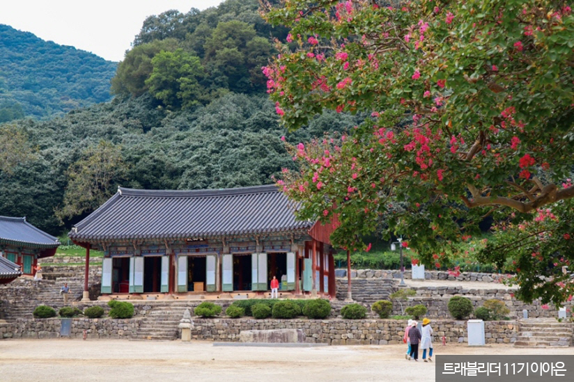 선운산 도립공원 & 선운사
