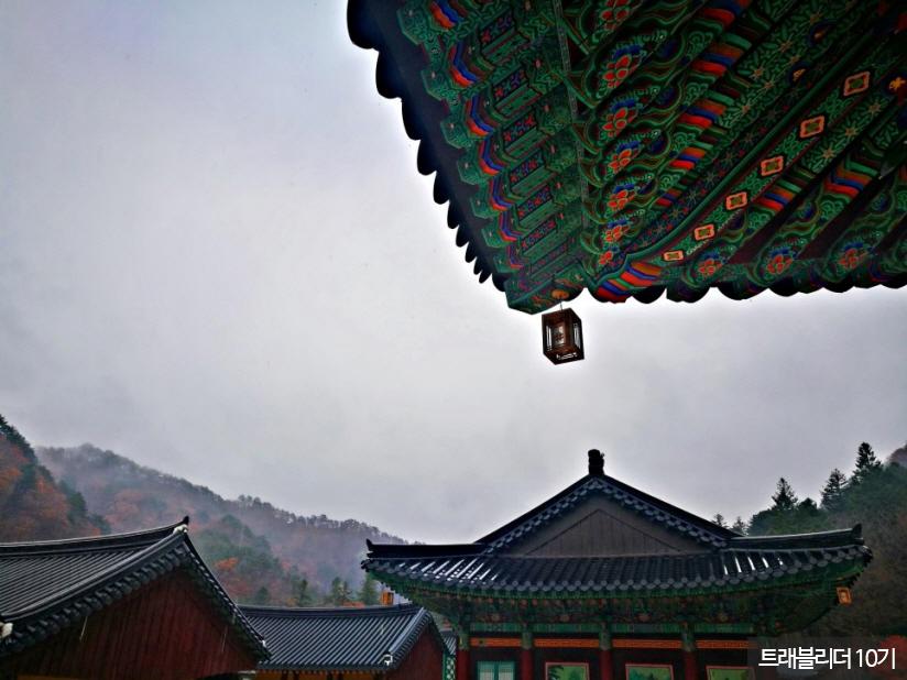 가녀린 빗방울이 처마를 타고 툭툭 떨어지는 걸 보고 있는 순간, 마음을 짓누르고 있던 무거운 짐들이 하나 둘 덜어지는 느낌이 든다