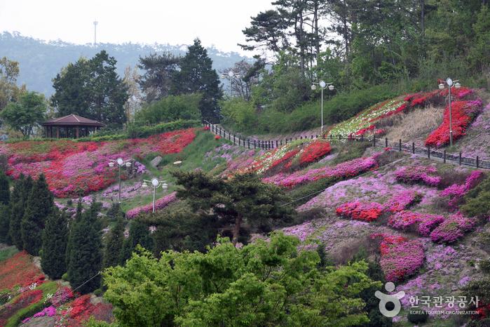 영광문화원|열린 관광 모두의 여행 영광문화원