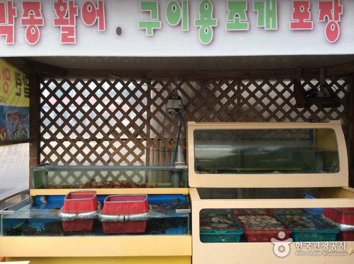 청강 이미지