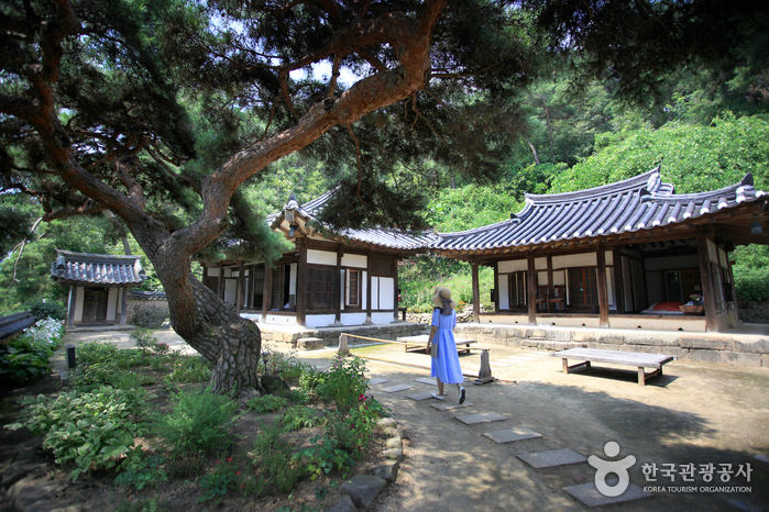 서애가 《징비록》을 집필한 옥연정사