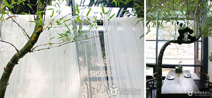 독특하게 휘어 자란 대나무도 볼 수 있다