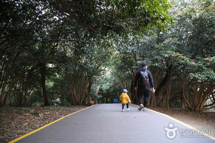 경사가 완만한 데크로 산책길이 조성된 오동도
