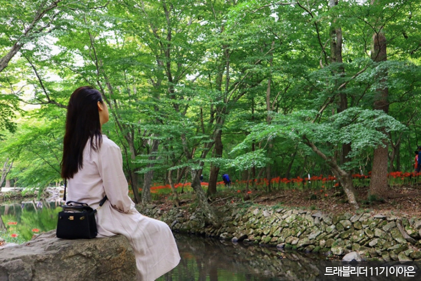 선운산 도립공원 & 선운사