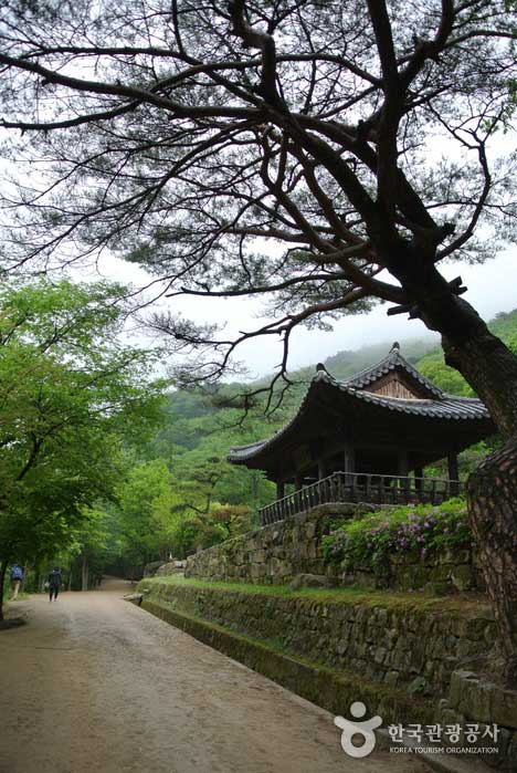 문경숯불 이미지
