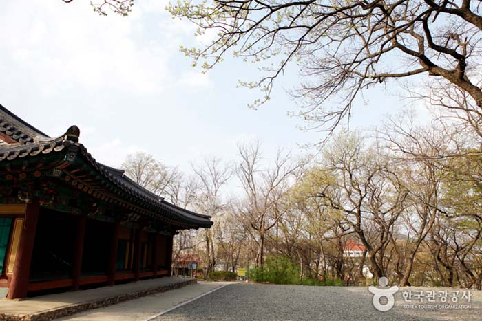 (주)자인 이미지