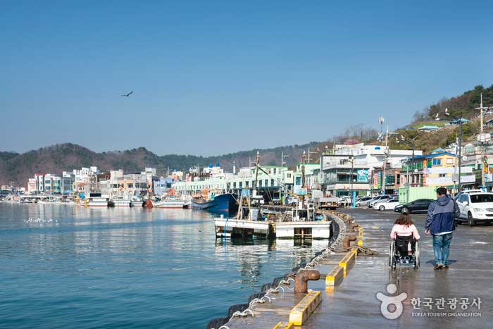 갯내 물씬 풍기는 강구항