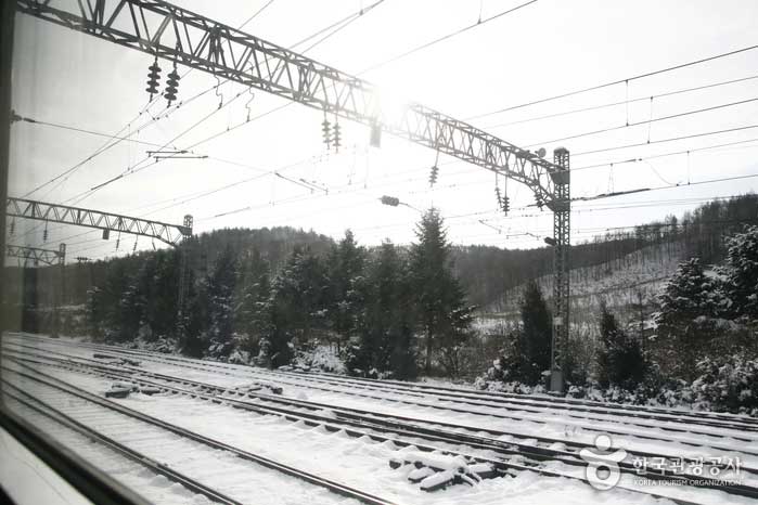 눈 쌓인 레일 위를 달리는 기차여행의 낭만