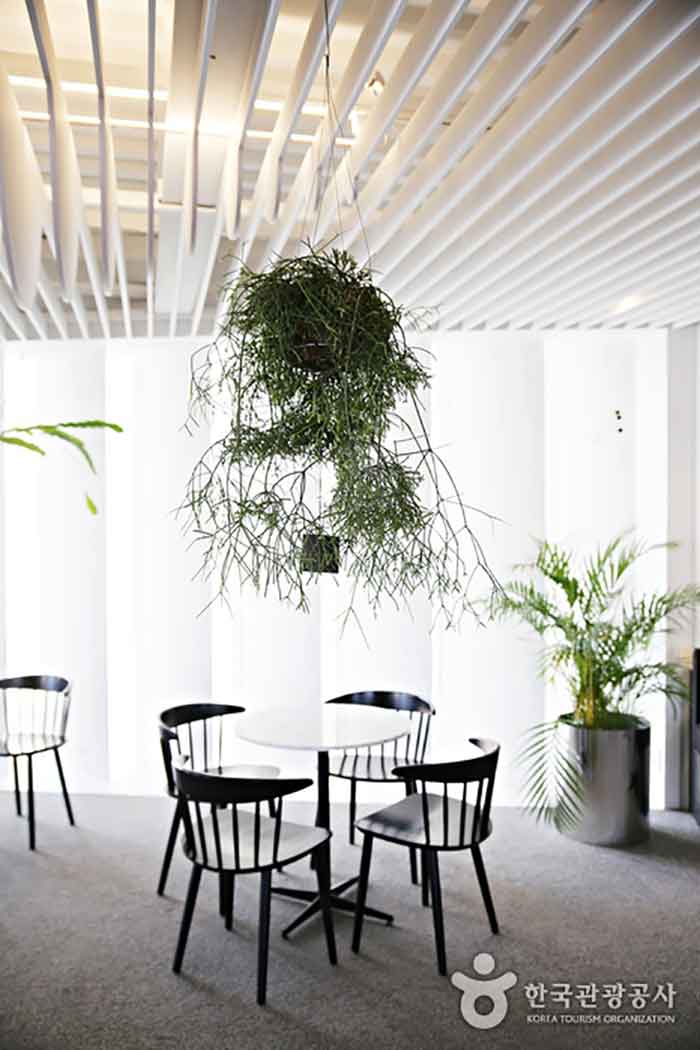 양평 소재 카페 ‘도프커피’