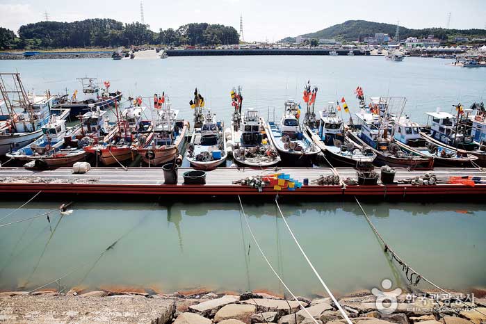 바닷바람을 자장가 삼아 졸고 있는 홍원항의 고깃배들