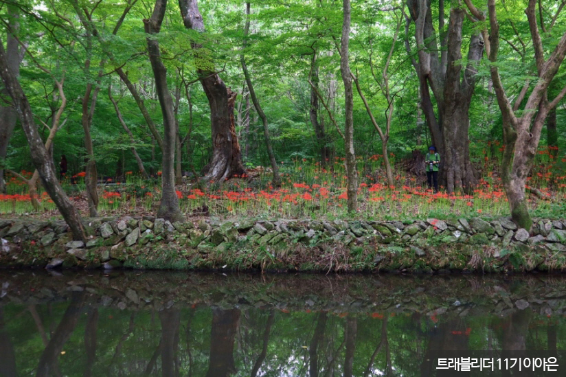 선운산 도립공원 & 선운사