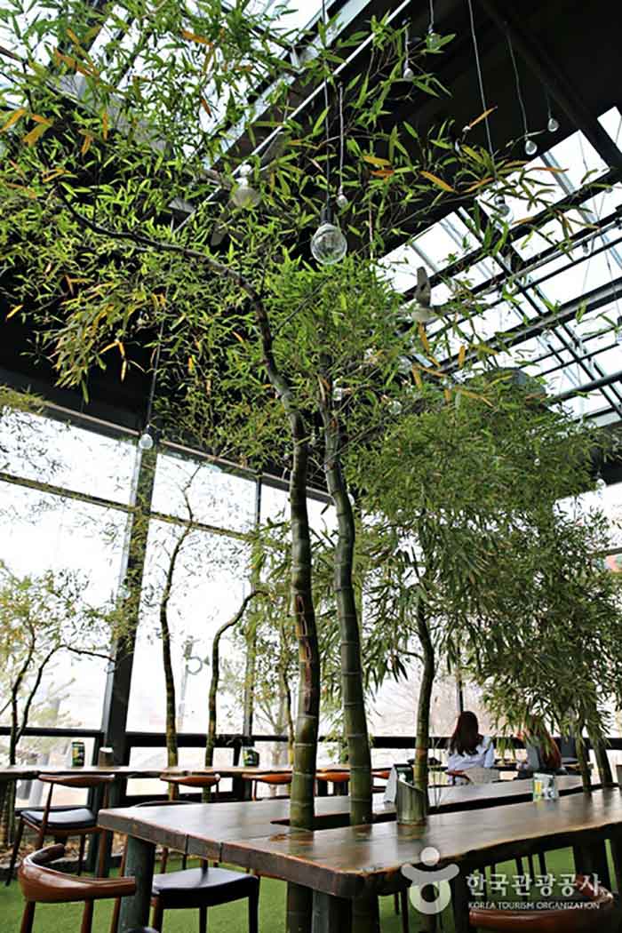 진짜 대나무가 가득하다