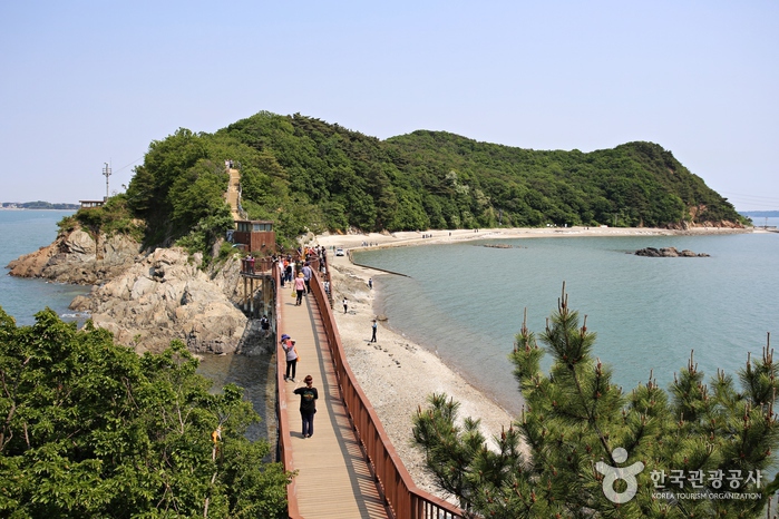 종현어촌체험마을이 자리한 구봉도 풍경