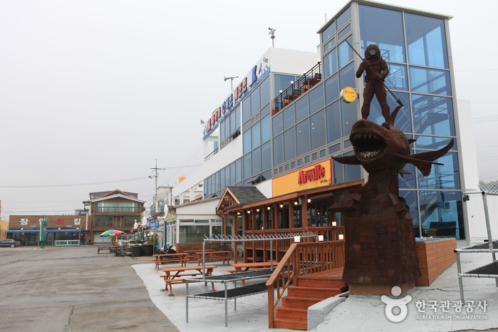 조이하슬라 이미지