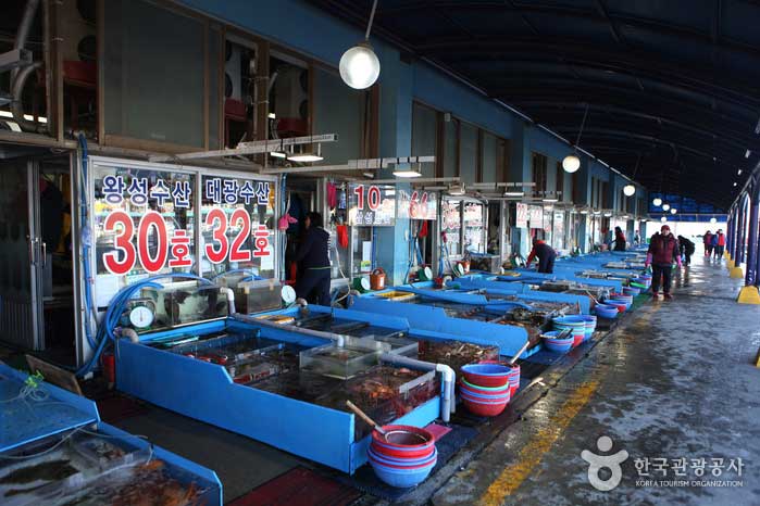 속초시 수협 동명 활어센터