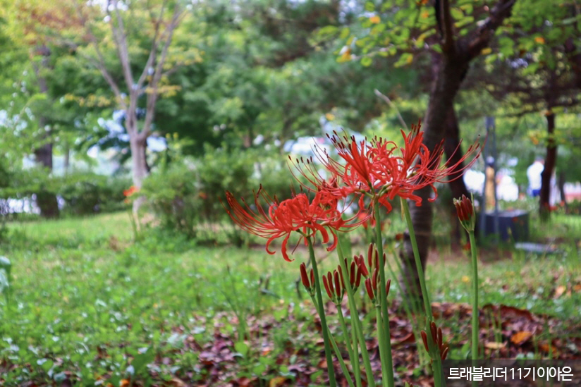 선운산 도립공원 & 선운사