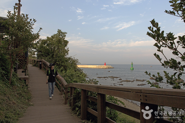 낮에 걷는 주상절리 파도소리길