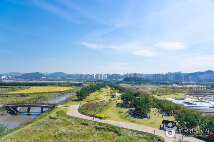 갯골생태공원 전경