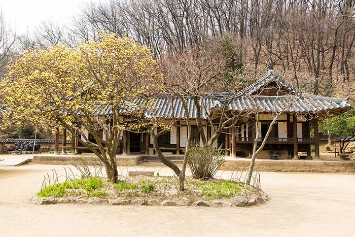 한국민속촌으로 떠나는 흥미진진 가족 여행|추천! 가볼만한곳|한국관광100선 한국민속촌으로 떠나는 흥미진진 가족 여행