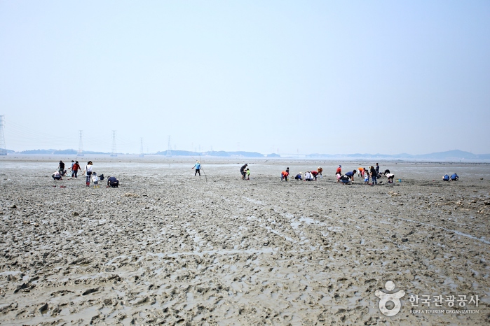 멀리 선재도와 영흥도, 영흥대교가 보인다.
