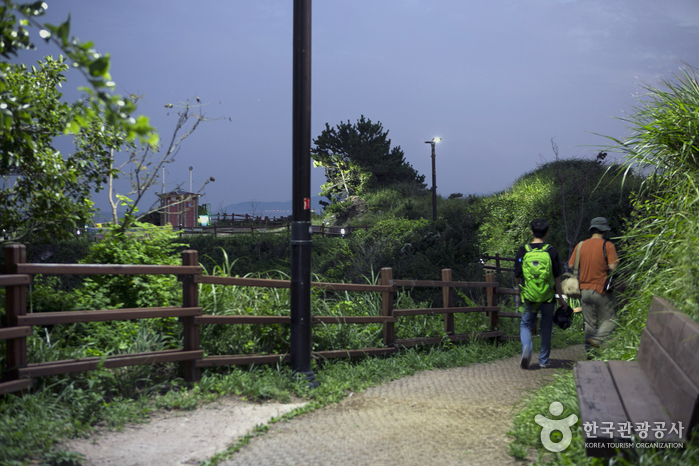 어스름이 밀려오는 저녁 산책길을 걷는 두 여행객