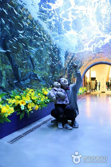 터널수조에서 엄마와 아이