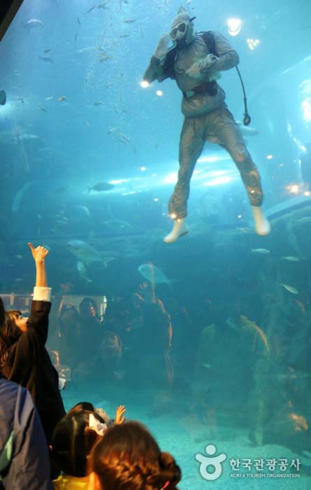 아쿠아 판타지쇼가 끝나고 인사하는 아이들