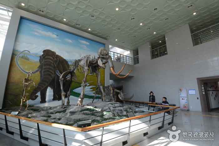 로비의 매머드와 코뿔소 화석