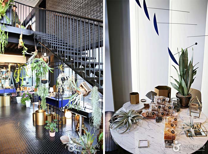 곳곳에 식물이 함께한다