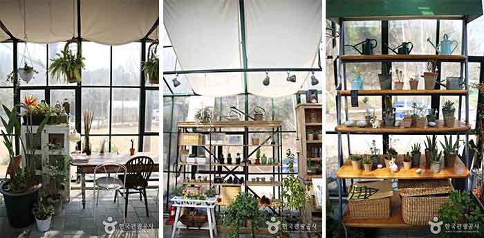 빈티지 가구와 가드닝 용품, 소품 등이 어우러져 멋스럽다